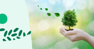 Manos sosteniendo un árbol