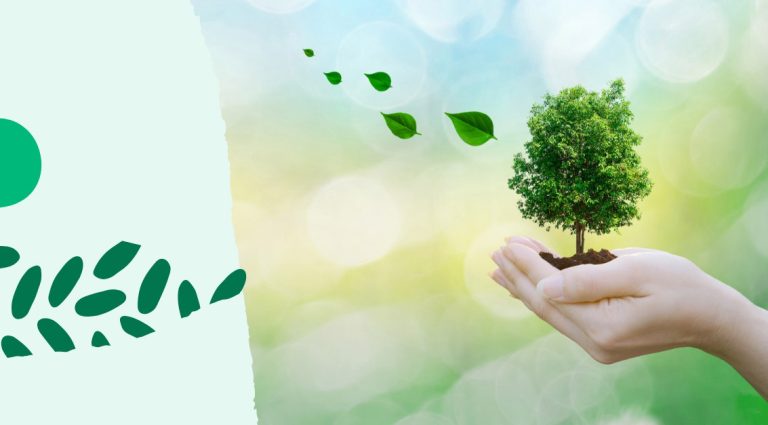 Manos sosteniendo un árbol