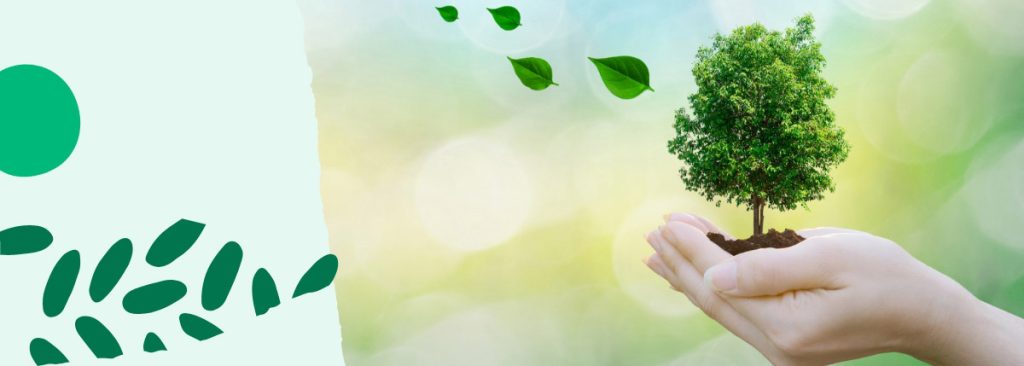 Manos sosteniendo un árbol